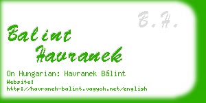 balint havranek business card