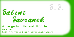 balint havranek business card